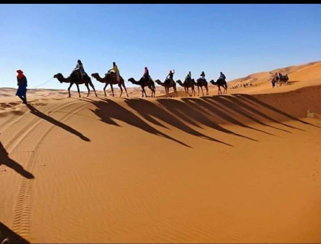 Desert Bivouac Mhamid 姆哈米德 外观 照片