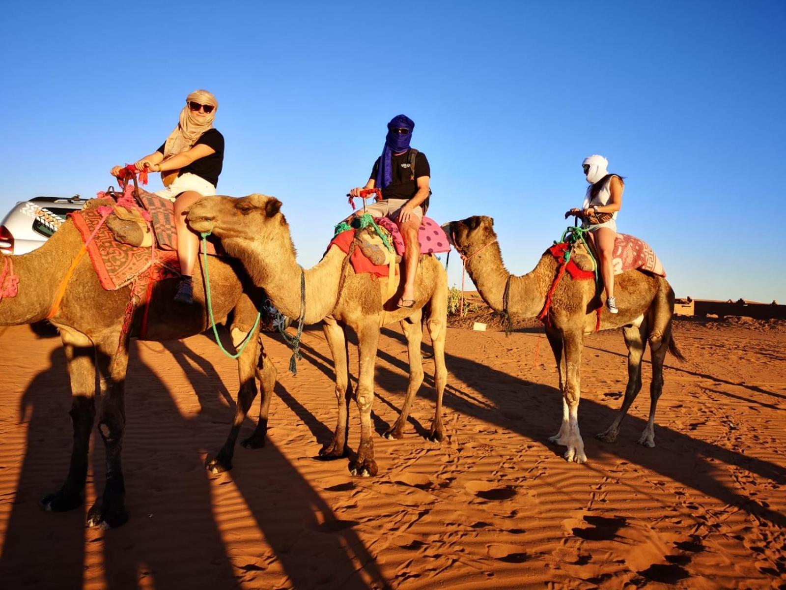 Desert Bivouac Mhamid 姆哈米德 外观 照片