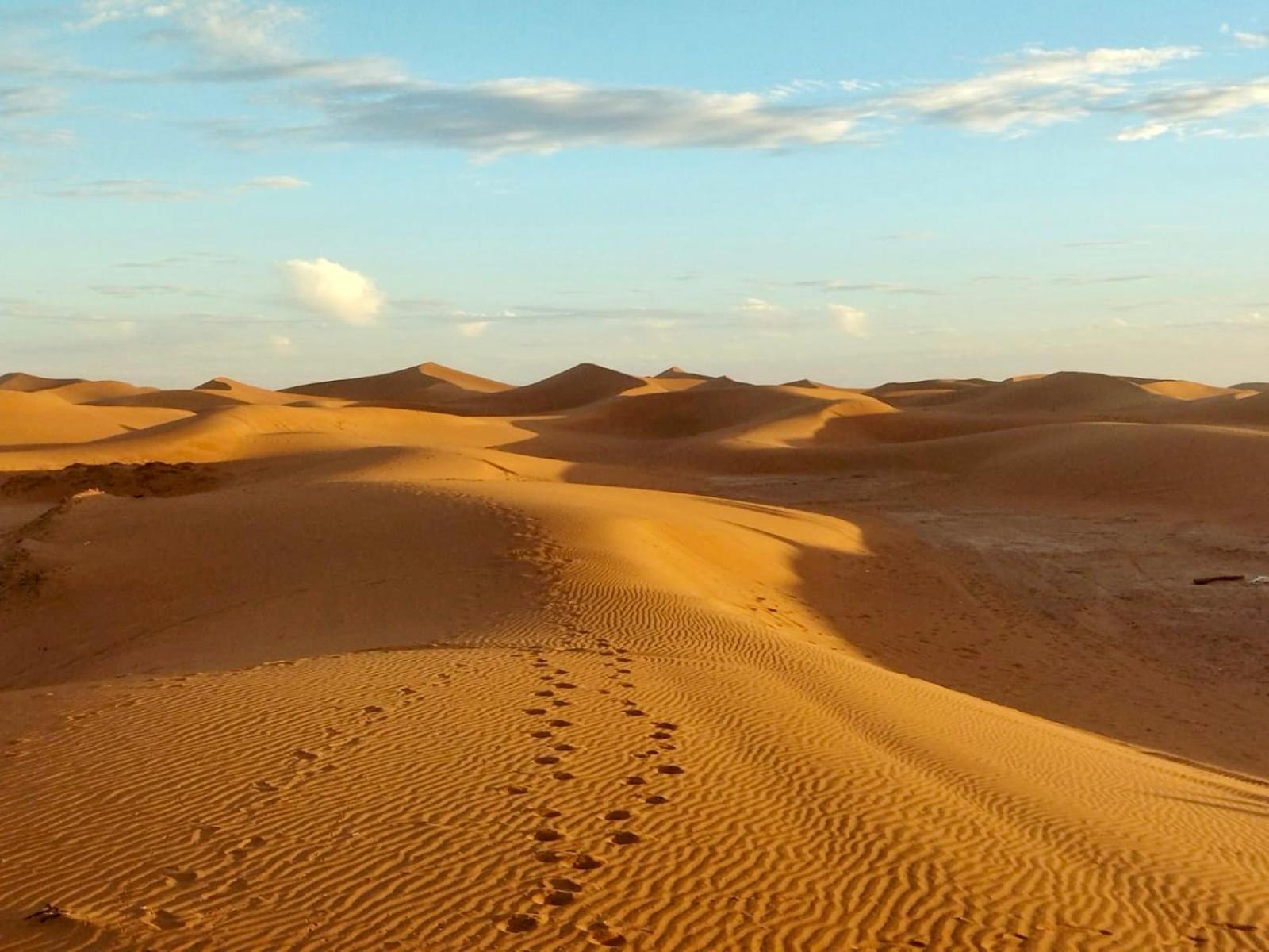 Desert Bivouac Mhamid 姆哈米德 外观 照片